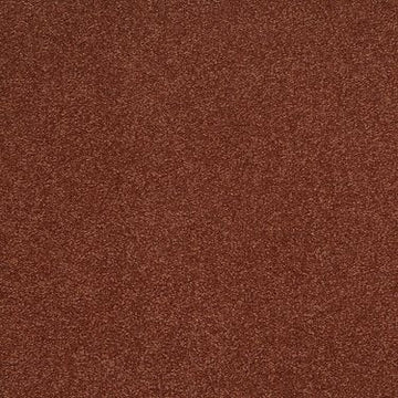Sahara
