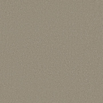Graphite