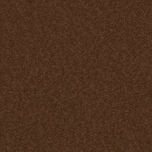 Sahara