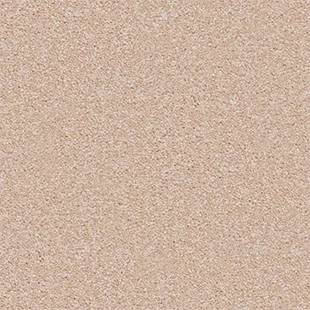 Sahara