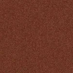 Sahara