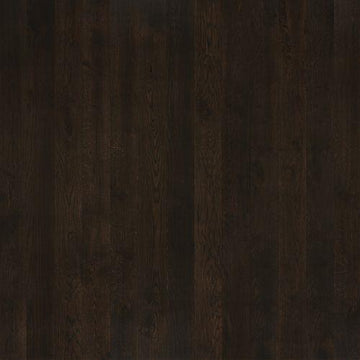 Harbor Oak
