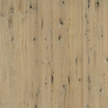 Spinnaker Oak