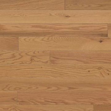 Chamomille Um 2.25"