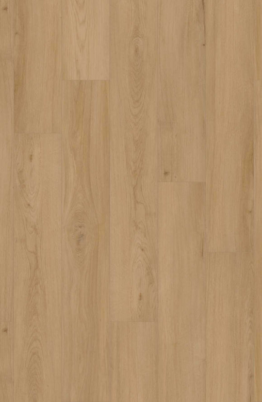 Rockport Oak