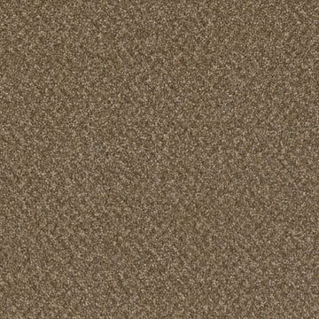 Mocha Beige
