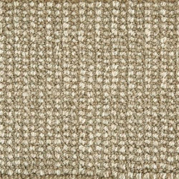 Fawn