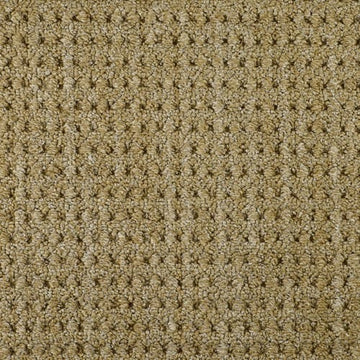 Acacia