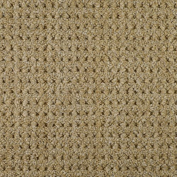 Jute