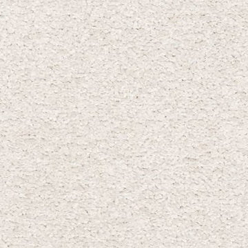 Shell Tint