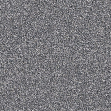 Pumi