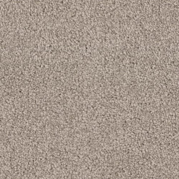 Sandpiper