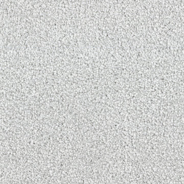 Pebble