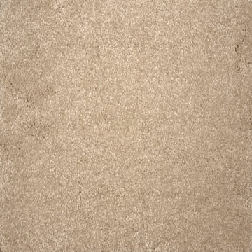 Sandollar