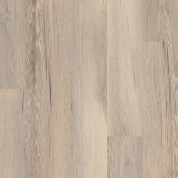 Venture Chestnut