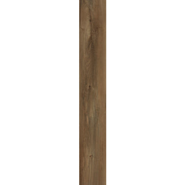 Belmont Hickory