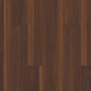 Biscayne Oak