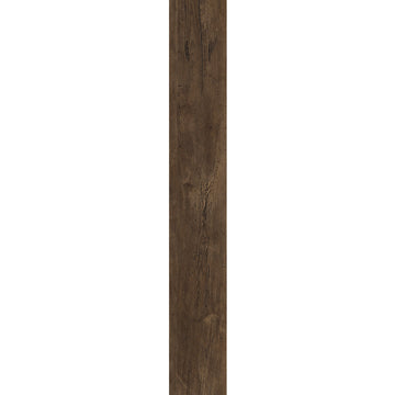 Duxbury Oak