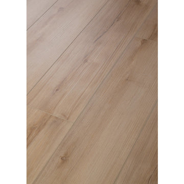 Lucent Oak