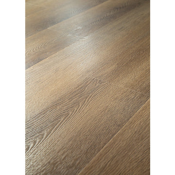 Cartwheel Oak