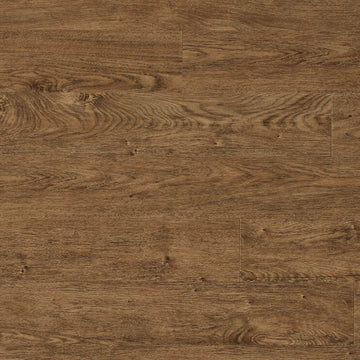 Northwoods Oak