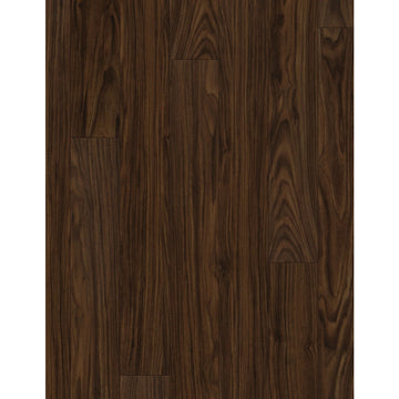 Black Walnut