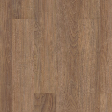 Dakota Walnut