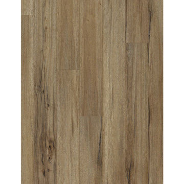 Baywood Oak