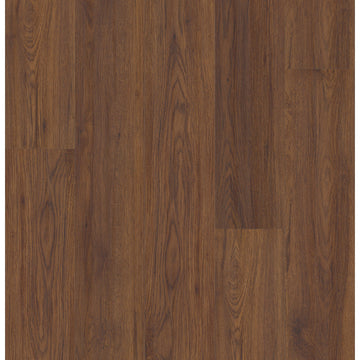 Fidalgo Oak