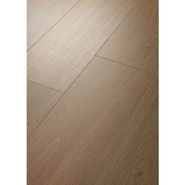 San Marino Elm