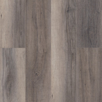 Berkshire Elm