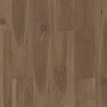 Blended Caraway