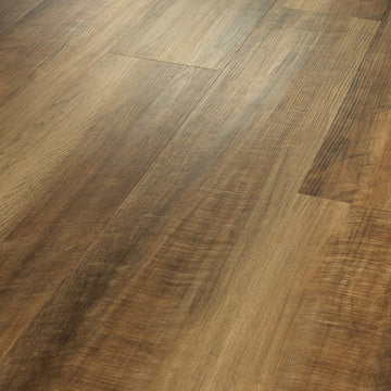 Tawny Oak