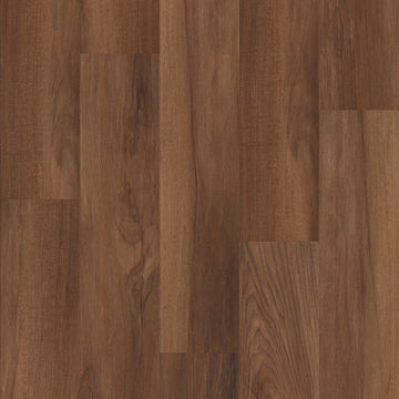 Amber Oak