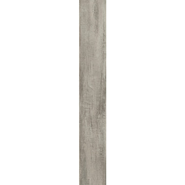 Fresh Driftwood