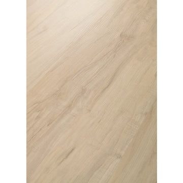 Spalted Maple