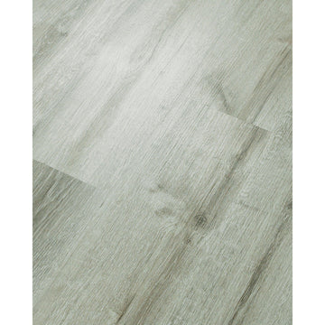 Beach Oak