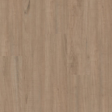 Chatter Oak