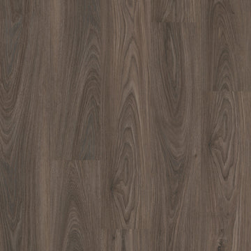 Dark Elm