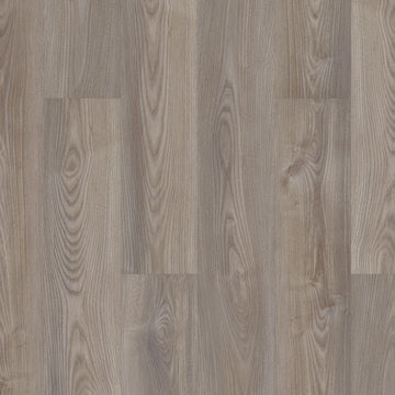 Grey Chestnut