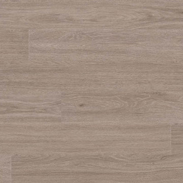 Bleached Elm