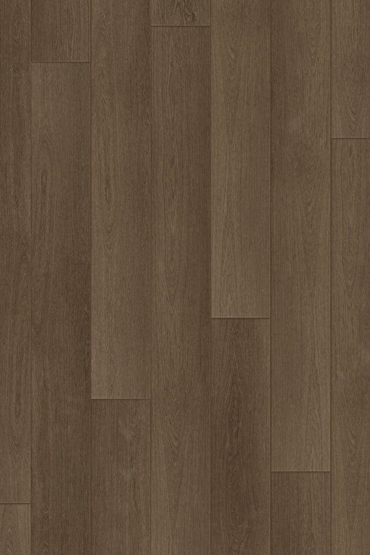 English Oak