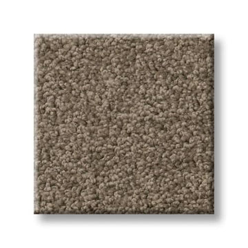 Simply Taupe