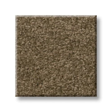 Vicuna