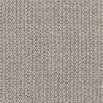 Stylish Gray