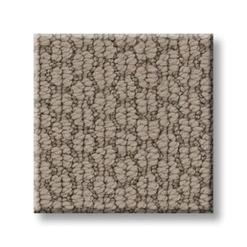 Taupe Tone