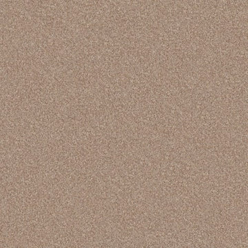Potter's Clay