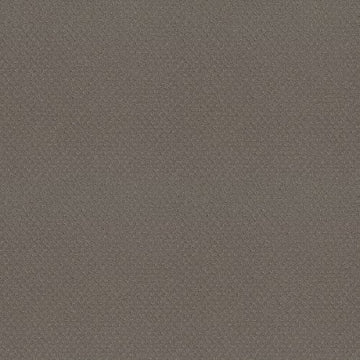 Still Gray