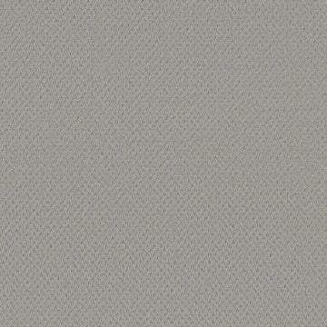 Silver Fox