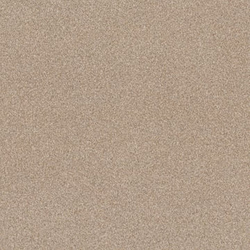 Beach Grass